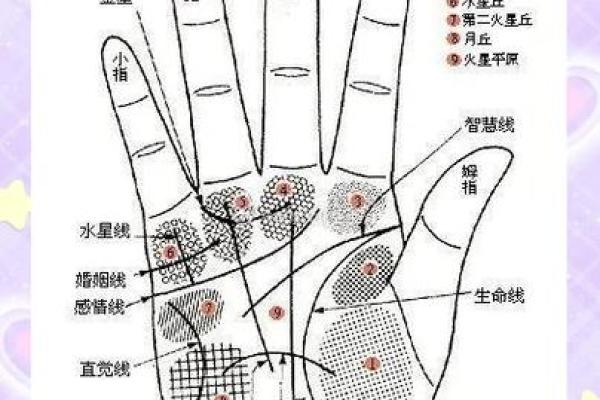 揭开手相密码：哪些手相暗示富贵命格？