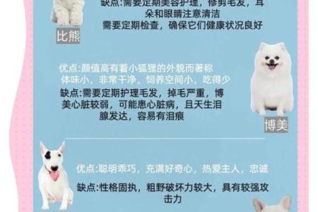 2021年和2022年出生的狗，命运如何解读？你与爱犬的命理之旅！