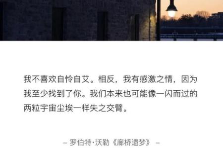 《赔了命的想见你：爱的执着与无奈》