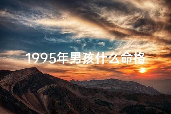 1995年出生的人，命理解析与未来发展方向