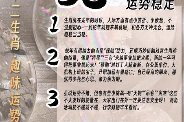 2023年生肖兔的命运解析：如何把握机会，实现人生转变？