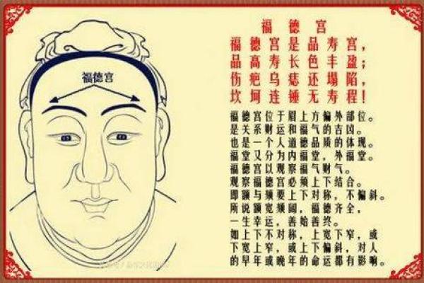 揭秘男人面相：哪些特征代表福气满满的命运？