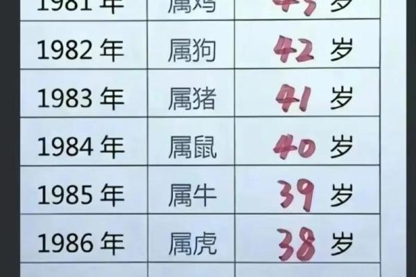 88年属龙的命运解析：探索人生之路的智慧与启示