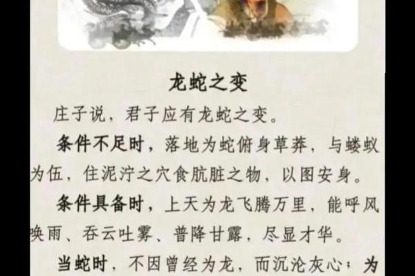 88年属龙的命运解析：探索人生之路的智慧与启示