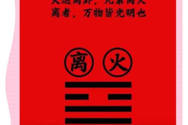 炉中火命的命运轨迹：被火焰塑造的生命历程