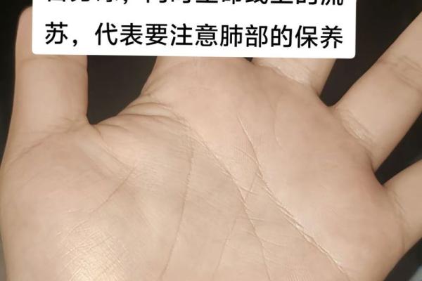 揭秘手纹三条线与命运的关系，让你掌握人生的秘密