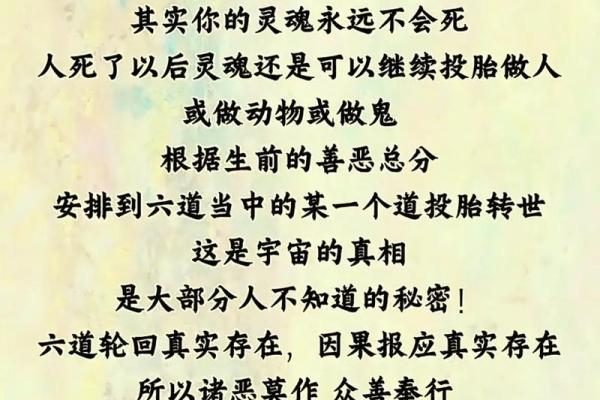 理解命运的至理——探索“这是什么命呀”背后的故事与意义