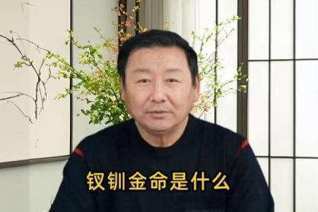 揭秘金命命人的面相特征与性格解析，助你识别身边的金命之人！