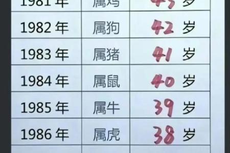 88年属龙的命运解析：探索人生之路的智慧与启示