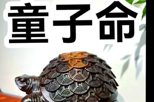 揭开童子命与童女命的神秘面纱：探索命运背后的故事