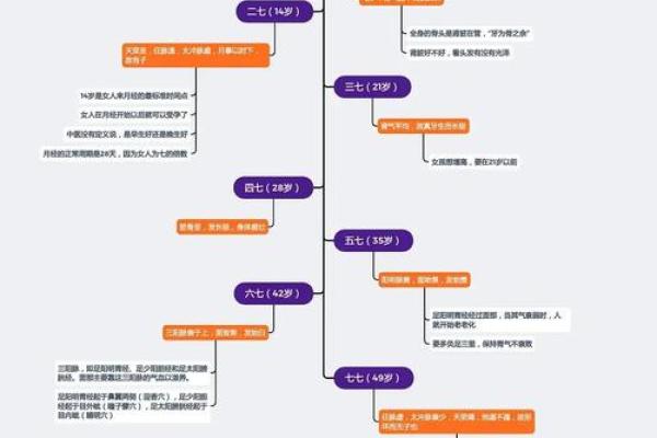 揭秘命格属性：女性如何通过自我认知成就人生
