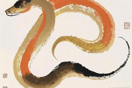 2023年属蛇人士的气运解析与命理分析