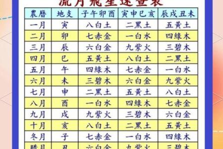 揭秘明星命：从命格看成功背后的奥秘