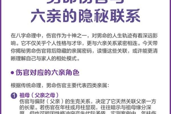 解析乙亥时出生的男命：命理与人生的秘密