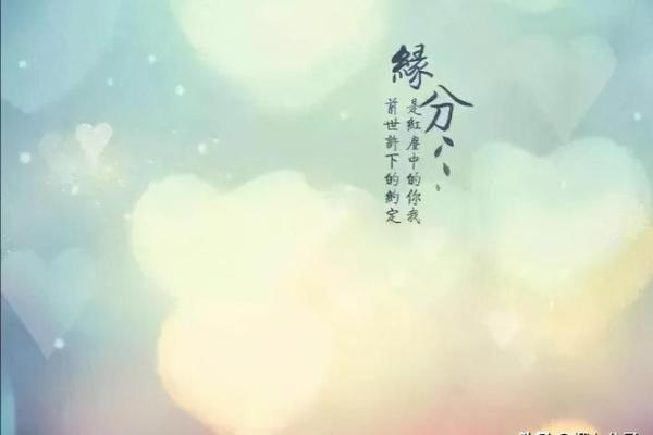 揭秘桑拓木男命与最配女命，缘分天注定！