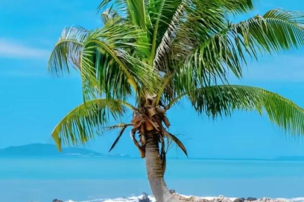 魅力三亚：海洋与阳光交织的天涯胜地