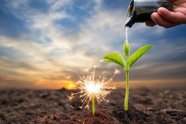 春天的土命人生:生命的重生与希望之旅 春天的土命人生:生命的重生与希望之旅