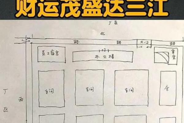 揭秘算命中的白虎命：命运与影响的深度解析