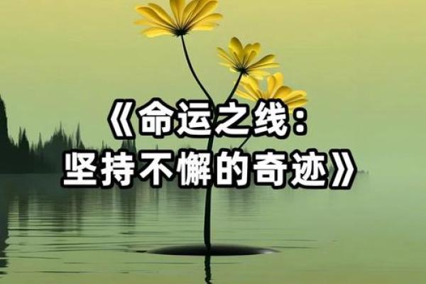 六月初五生日的女人命运解析：细腻与坚韧的完美结合