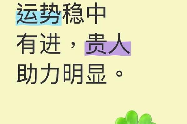 2023属狗人运势解析：如何把握机遇与挑战