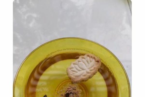 《食施饿鬼,转运改命的新方法》 《食施饿鬼,转运改命的新方法》