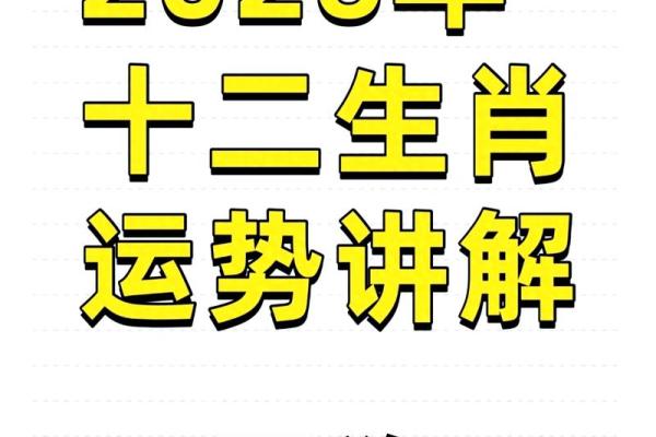 2006年狗年命运：揭开属狗人士的性格与机遇