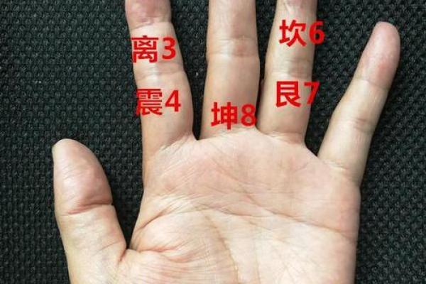 揭秘白腊金命的命理奥秘，如何找到命运之路的光辉！